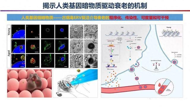 「科学强国」重磅！2023年度中国科学十大进展发布