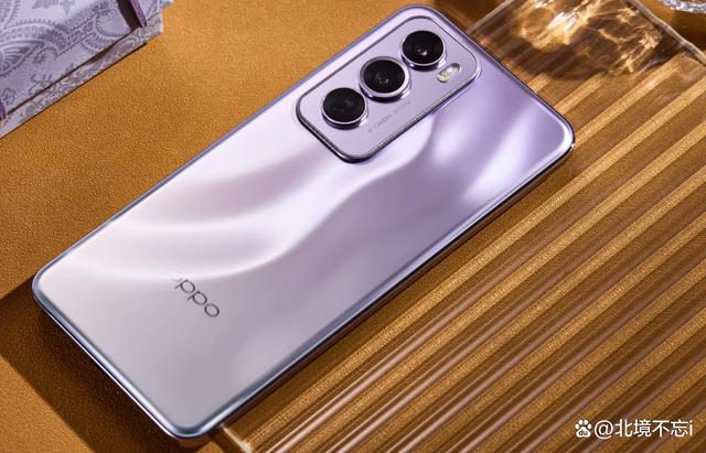 OPPO Reno 13 Pro爆发24GB+1TB，冲击高端，定4599元贵吗？