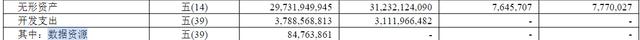 中国联通半年报披露8476.39万元数据资源，又一家运营商入表